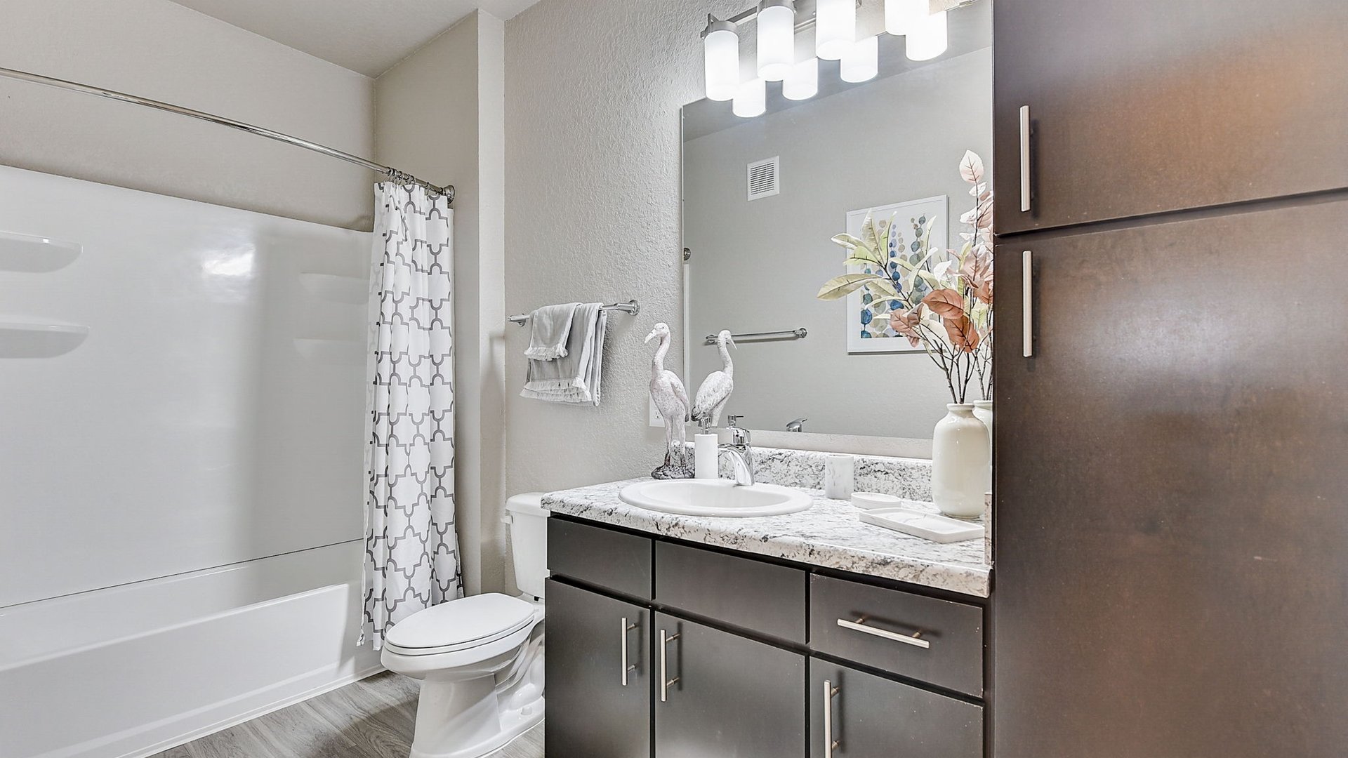 Photos & Virtual Tours Springs at Posner Park Apts